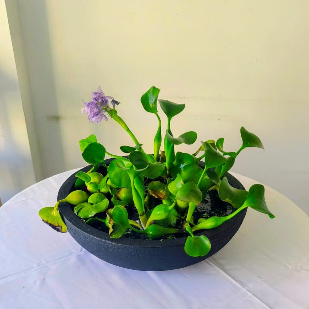 WhatsApp Image 2025-12-11 at 10.39.52