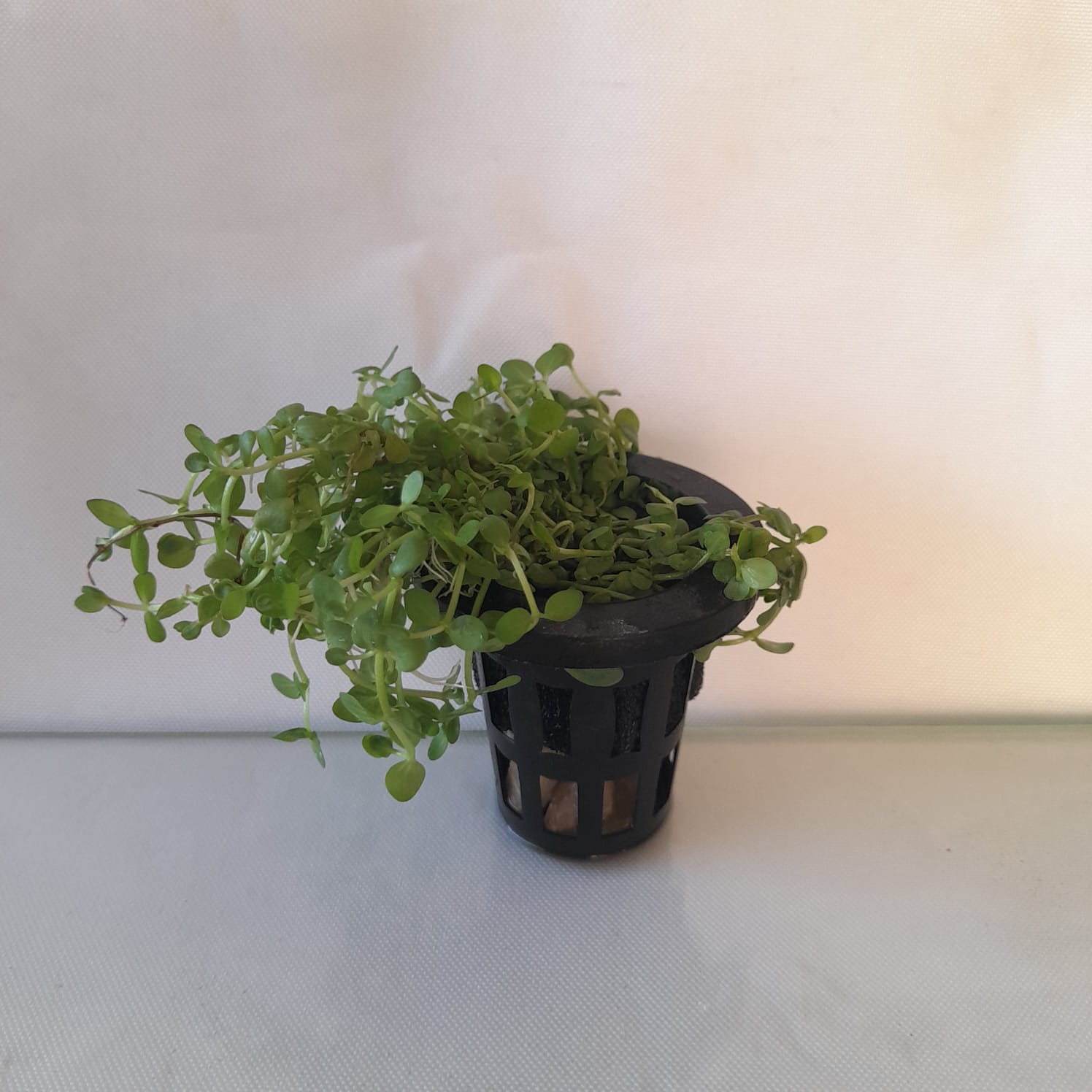 WhatsApp Image 2025-12-14 at 18.46.58 (3)