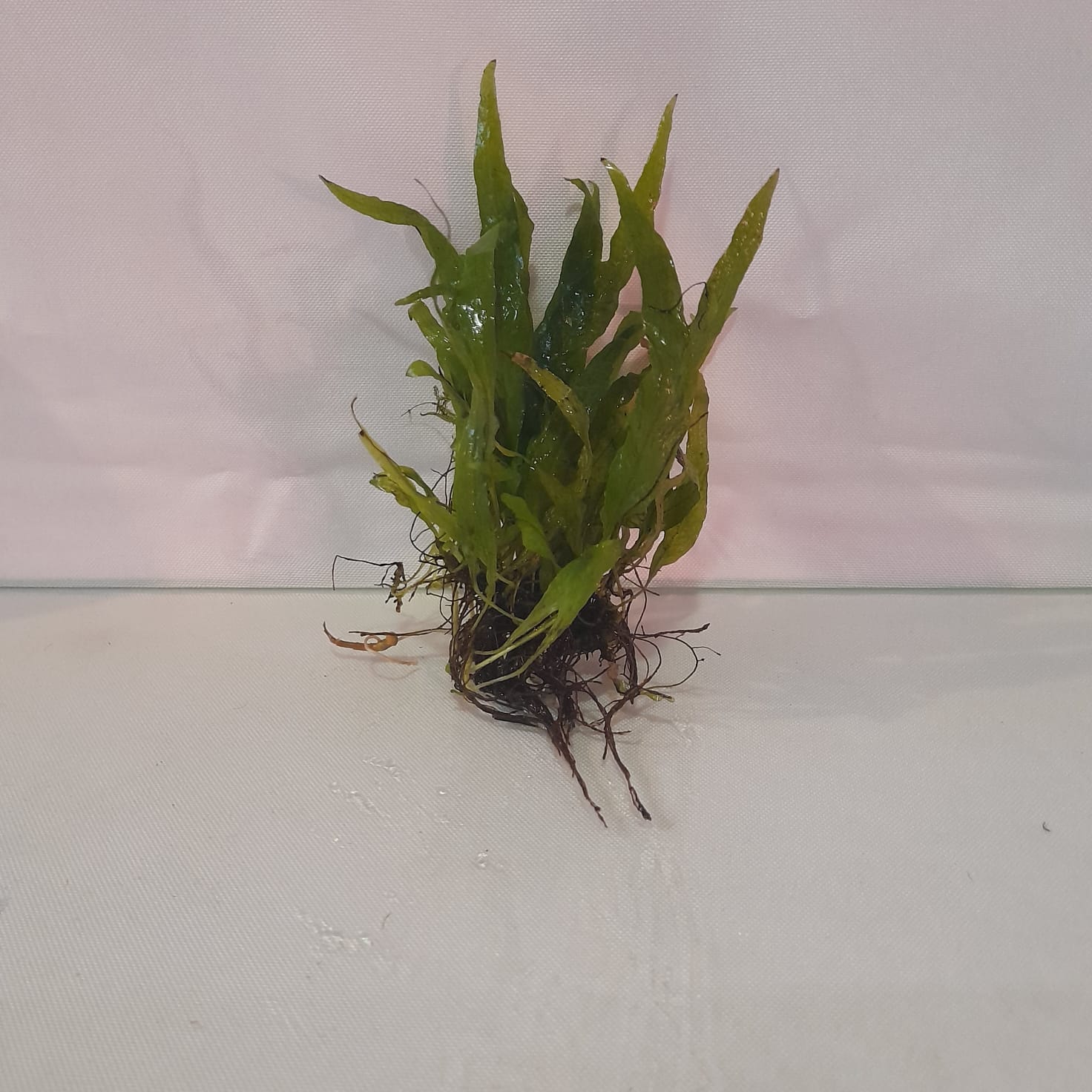 WhatsApp Image 2025-12-14 at 18.46.58