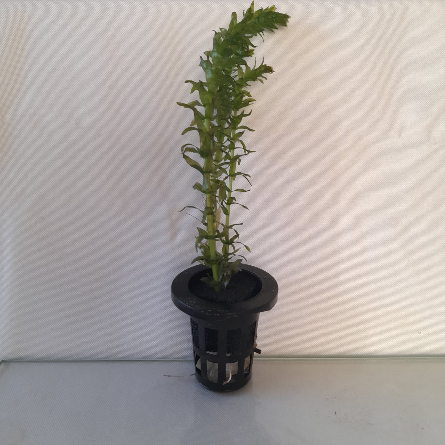 WhatsApp Image 2025-12-14 at 18.47.00 (3)